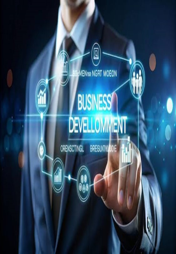 International Journal of Business Innovation & Management